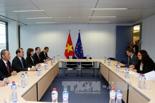 EU muốn hợp tác phát triển mạnh hơn với Việt Nam ảnh 1